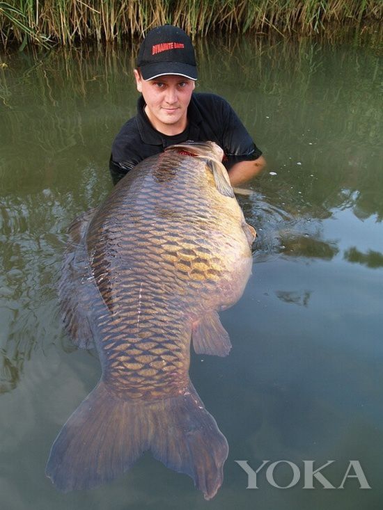 江湖告急 吃貨趕緊收拾行李組團(tuán)打“怪獸”去(2) 江湖告急 吃貨趕緊收拾行李組團(tuán)打“怪獸”去(2)