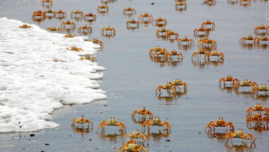 地獄之門(mén)里住著魔鬼般的女人