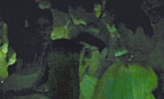 房祖名去年被港媒直擊在中環(huán)夜店與長發(fā)妞互動曖昧，女生正是Nana