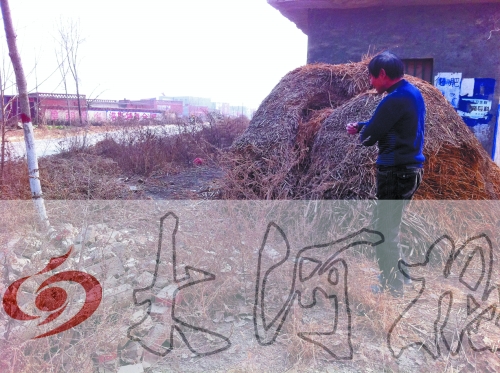 張哥、張弟就是在這兒撿到的投毒面包。