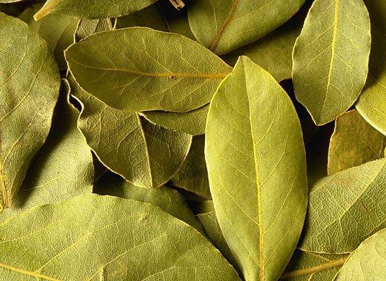 你知道廚房里常見調(diào)料的用法嗎？