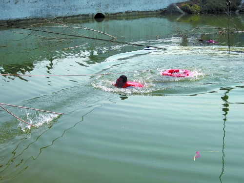 河南一客車發(fā)生交通事故 致11人不幸喪生 河南一客車發(fā)生交通事故 致11人不幸喪生