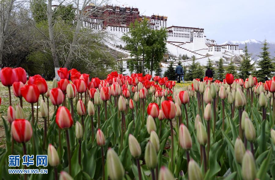 各地迎進(jìn)“五一”小長(zhǎng)假 各地迎進(jìn)“五一”小長(zhǎng)假