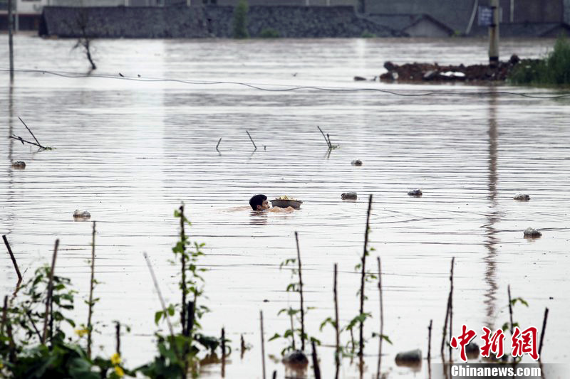重慶孕婦被困孤島挨餓 丈夫冒險(xiǎn)游泳送口糧 重慶孕婦被困孤島挨餓 丈夫冒險(xiǎn)游泳送口糧