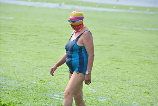 2013年7月3日，山東青島青島高溫來襲，“青島大媽”不懼滸苔，戴著“強盜面具”出現(xiàn)在海水浴場消暑降