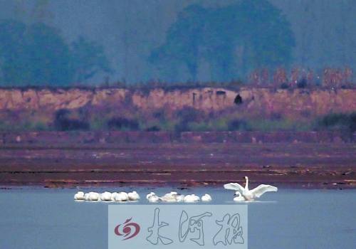 眾“人”皆睡我獨(dú)醒 眾“人”皆睡我獨(dú)醒