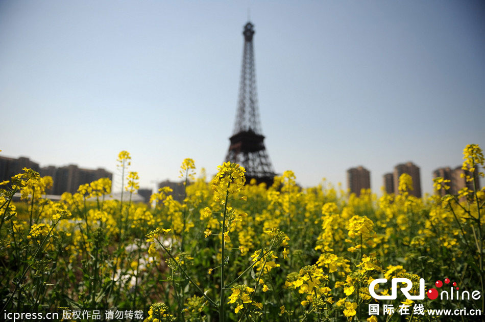 　2014年3月21日，杭州天都城，農(nóng)民在山寨埃菲爾鐵塔下耕作。圖片來源：東方IC