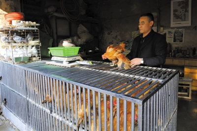 南京另一家農(nóng)貿(mào)市場內(nèi)待售的活雞。因南京出現(xiàn)H7N9禽流病例，買活雞的顧客減少。