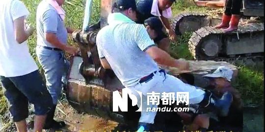 幾名戴黑帽的男子將一名老人推入水塘，后反復(fù)腳踹。