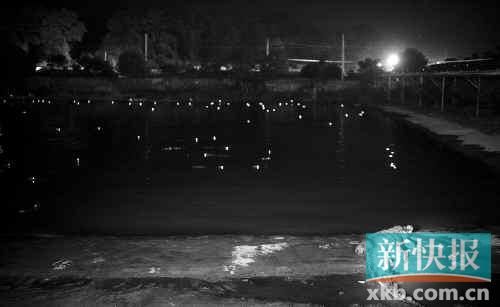 昨日，西湖村鱷魚養(yǎng)殖場已修復圍欄。