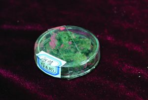 古人用的胭脂 古人用的胭脂