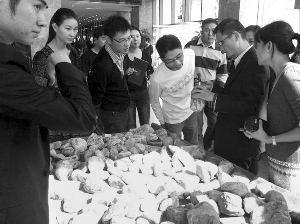 前段時(shí)間，夫子廟古玩城舉行的一場(chǎng)賭石活動(dòng)，吸引了不少人參與