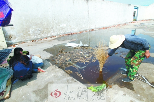 小孩兒就是掉到這個水坑里溺亡的 小孩兒就是掉到這個水坑里溺亡的