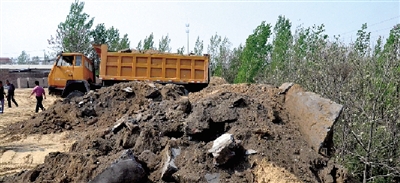 垃圾將生態(tài)涵養(yǎng)林給埋住了。