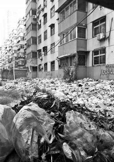 透過(guò)擋板縫向內(nèi)看，30多米垃圾已經(jīng)將居民樓包圍。