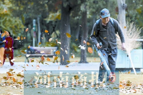 秋風吹過，落葉滿地