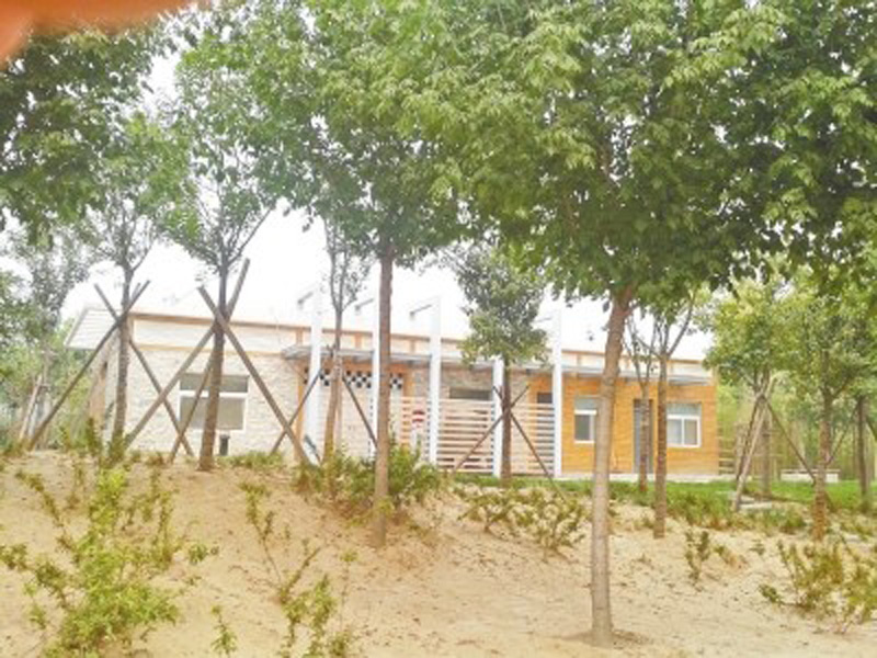 鄭州近百個公廁天天鎖門 附近綠地卻成便溺處 鄭州近百個公廁天天鎖門 附近綠地卻成便溺處