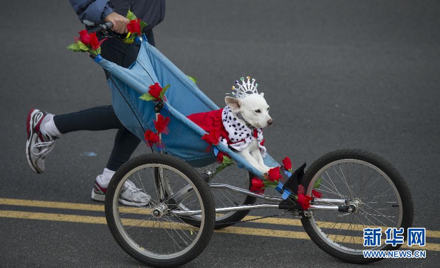 美國帕薩迪納舉行第124屆玫瑰花車游行 美國帕薩迪納舉行第124屆玫瑰花車游行