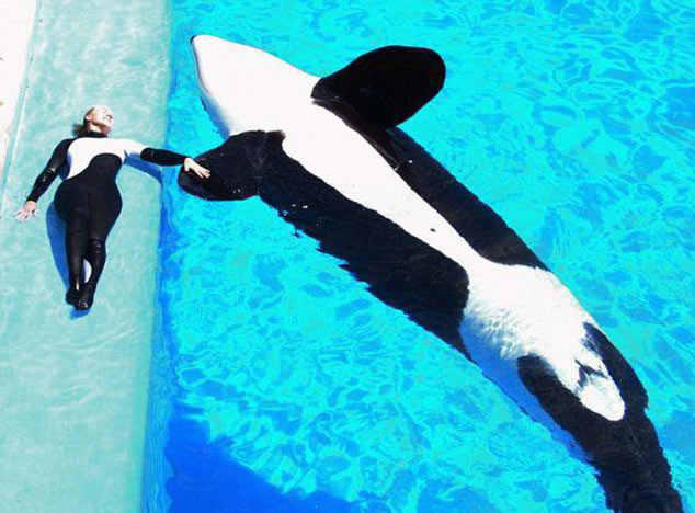 "美人魚情侶"的唯美愛情 "美人魚情侶"的唯美愛情