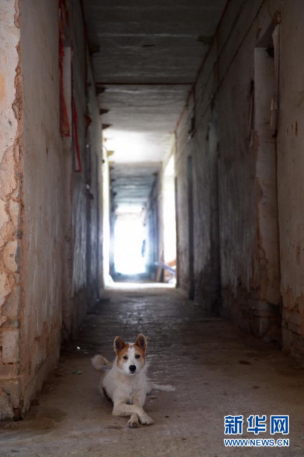 農場棚戶區(qū)的最后留守家庭：留下的是回憶，迎來的是幸福