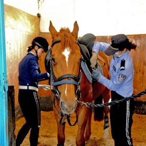 探大連女騎警訓練基地