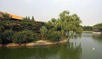 釣魚(yú)臺(tái)國(guó)賓館垂柳