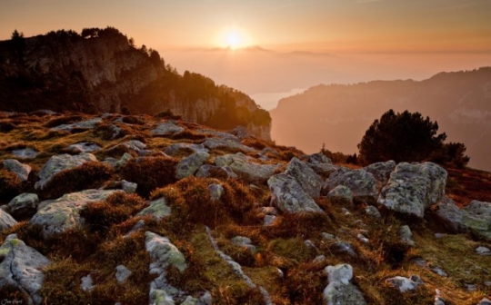 繼續(xù)一段弗里堡的午后時(shí)光