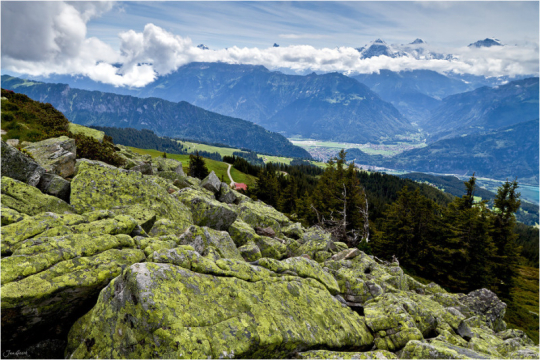 繼續(xù)一段弗里堡的午后時(shí)光