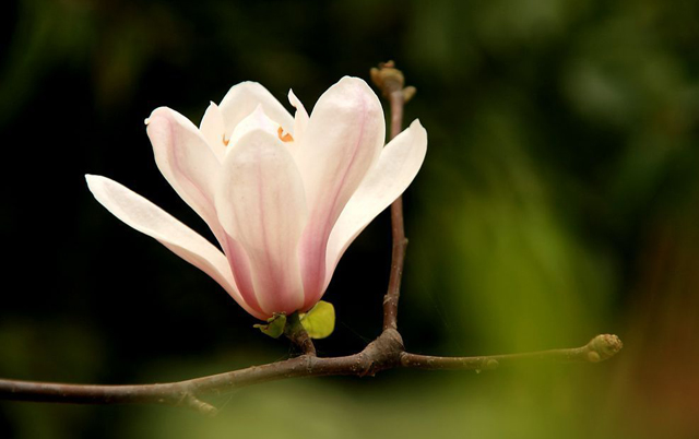 龍峪灣美景 龍峪灣美景