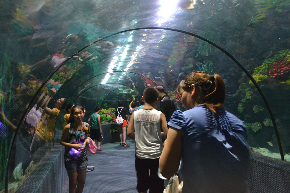 春節(jié)去哪兒？出游地圖告訴您！