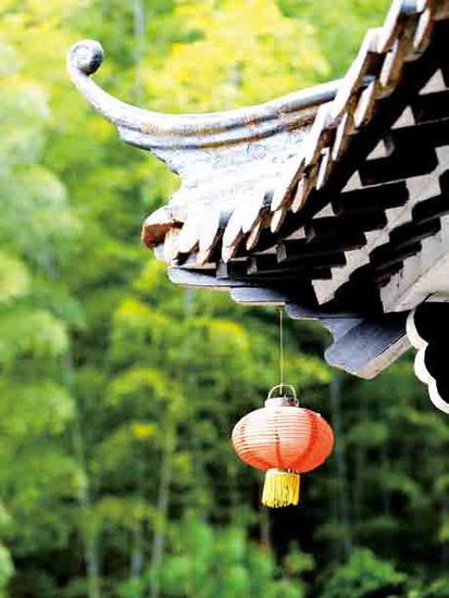 陽春三月赴江南 來一場(chǎng)春的約會(huì)