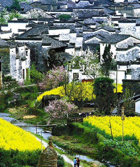 如何拍攝油菜花？達人教你7個拍攝技巧