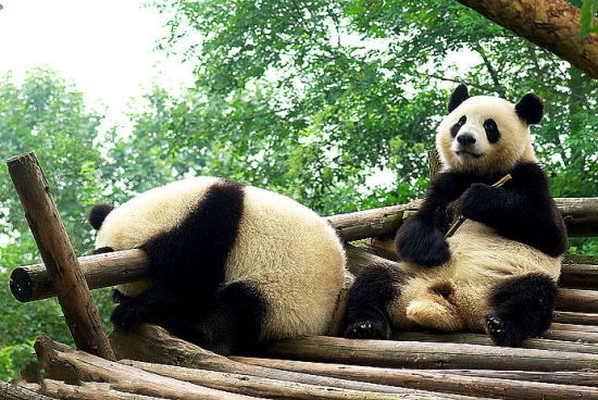 清明過(guò)后去哪玩 4月國(guó)內(nèi)抄底游推薦 清明過(guò)后去哪玩 4月國(guó)內(nèi)抄底游推薦