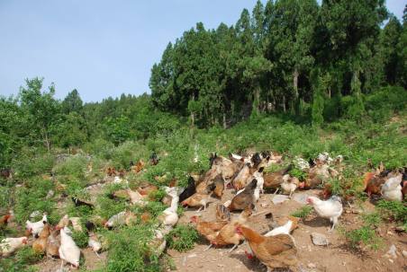 旅游真奇妙 這些事你知道嗎？