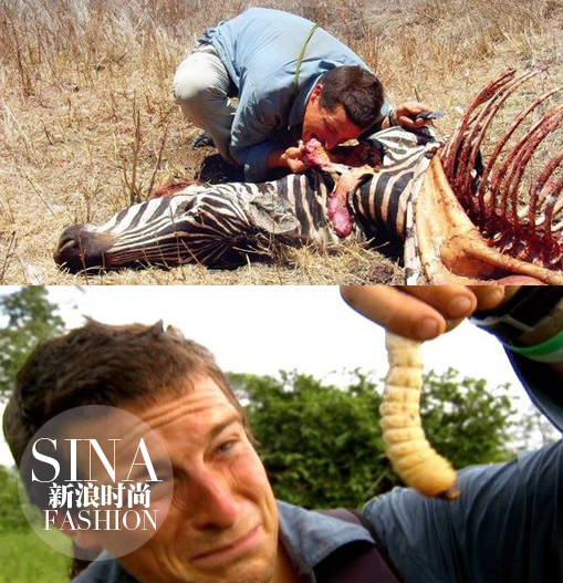 大型動物和肉蟲子……也都能生吞活剝！