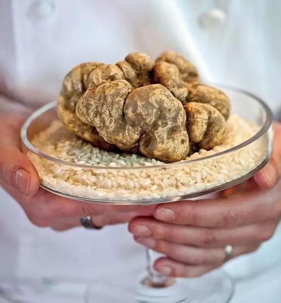 世界上最貴的食物 吃一口傾家蕩產(chǎn) 世界上最貴的食物 吃一口傾家蕩產(chǎn)