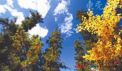 西藏秋色 西藏秋色