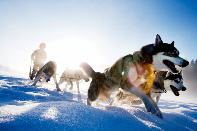 冬季貝加爾,適合享受冰上運(yùn)動,狗拉雪橇、雪上摩托車、雪地徒步等都是不錯的選擇 F5.6,1/115秒