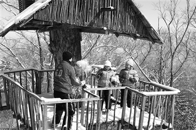 　　clubmed里有來自國外的滑雪教練教兒童滑雪?！? oldsrc=