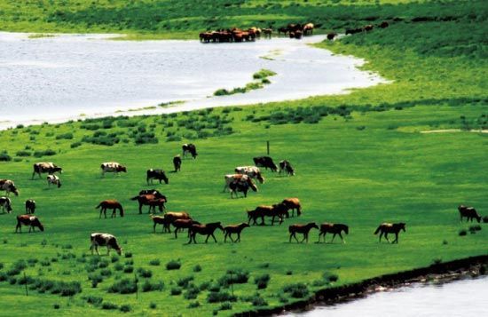 　　處處翠色欲流,馬兒自然入畫?！? complete=