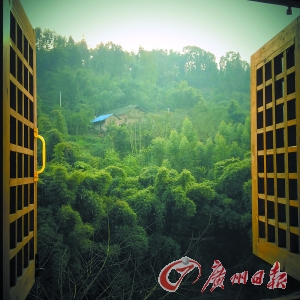 推窗滿(mǎn)目綠樹(shù)來(lái) 臥聽(tīng)靜夜溪流吟