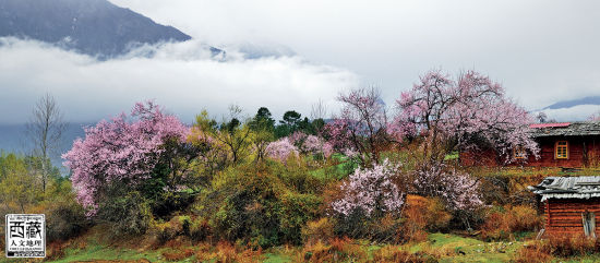 世外桃源 世外桃源