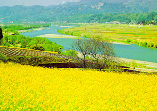 信陽舉行“捷安特杯”美麗鄉(xiāng)村全國單車嘉年華 信陽舉行“捷安特杯”美麗鄉(xiāng)村全國單車嘉年華