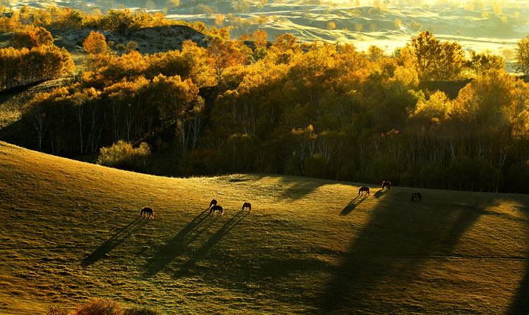 金色的秋天震撼的美景(圖) 金色的秋天震撼的美景(圖)