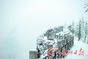 賞冬雪,天南地北皆相宜 賞冬雪,天南地北皆相宜