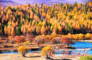 　　呼倫貝爾秋色。