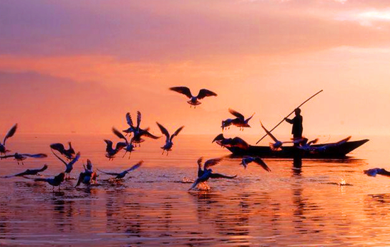 冬季正是觀鳥時 省內(nèi)觀鳥地盤點