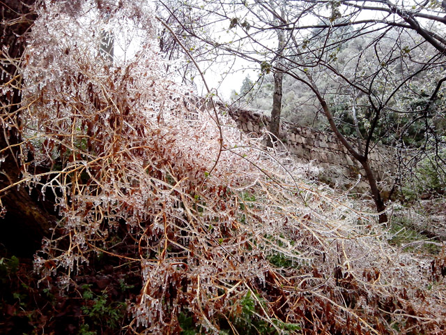 陽春三月 在龍峪灣做一回“冰山上的來客” 陽春三月 在龍峪灣做一回“冰山上的來客”