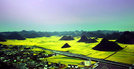 女人如花 隨侍甄嬛娘娘賞花去 女人如花 隨侍甄嬛娘娘賞花去