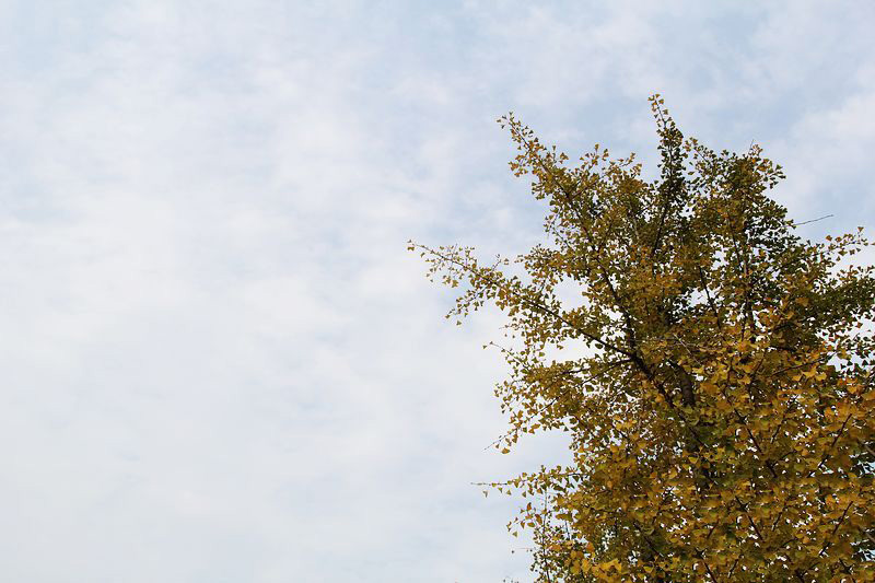 初冬旅游正此時 騎行走進(jìn)黃河風(fēng)景名勝區(qū) 初冬旅游正此時 騎行走進(jìn)黃河風(fēng)景名勝區(qū)